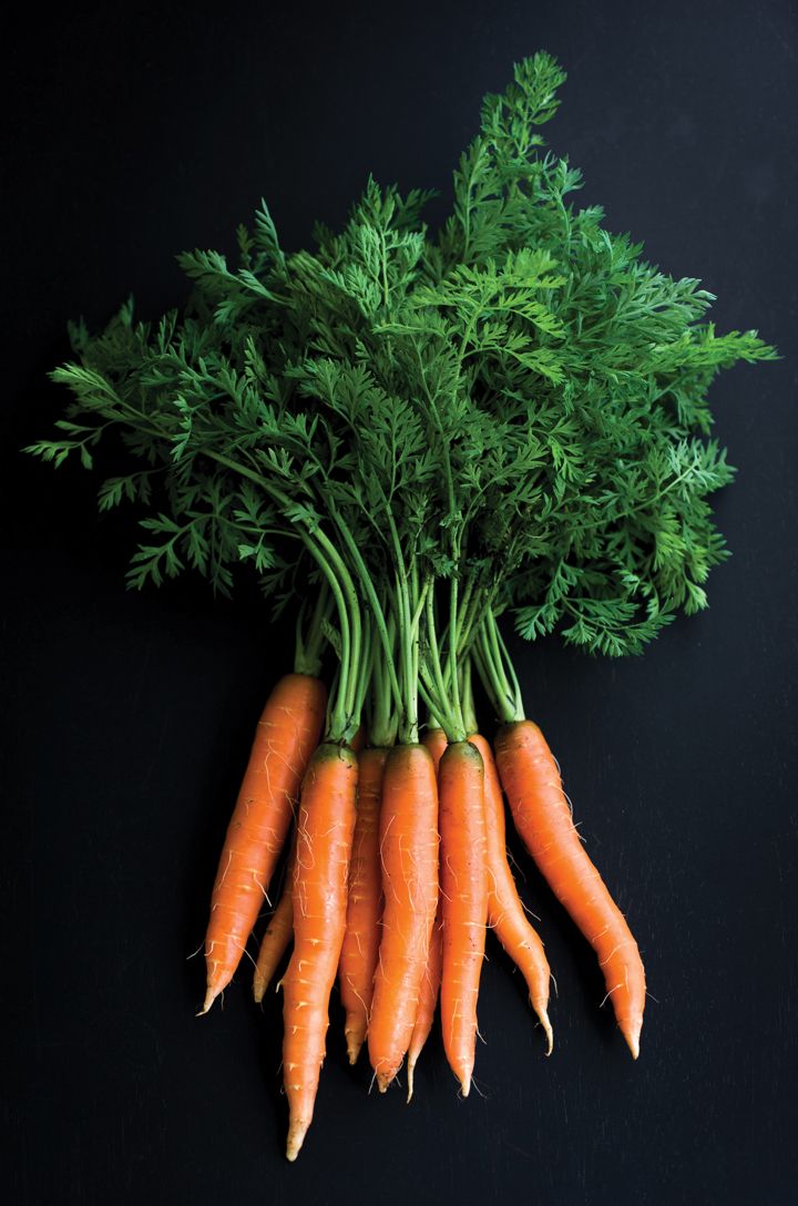 Carrot Seed Oil