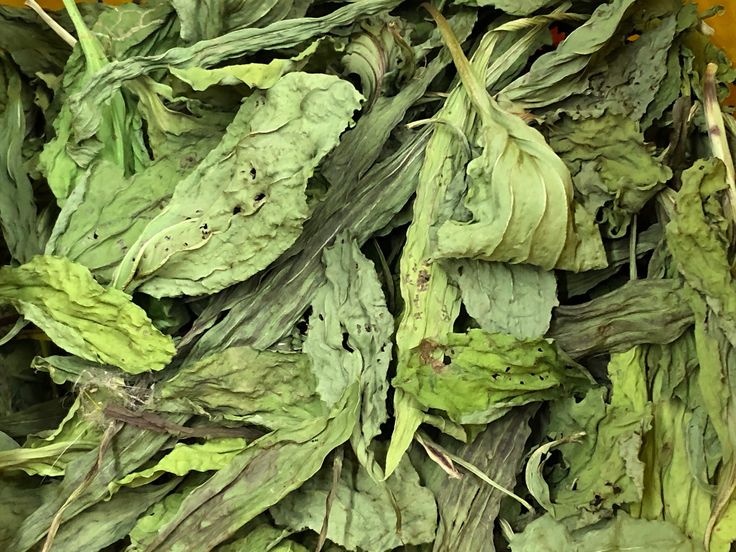 plantain leaf