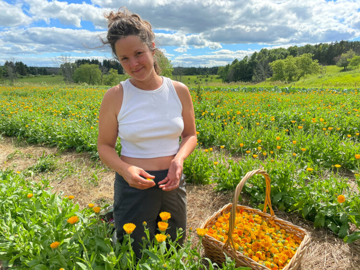 greenbush growing coop