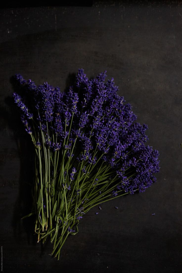 Lavender