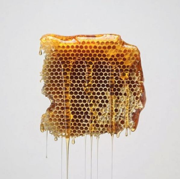 wildflower beeswax