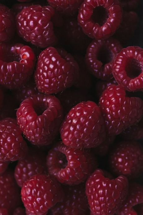 Red Raspberry Seed oil